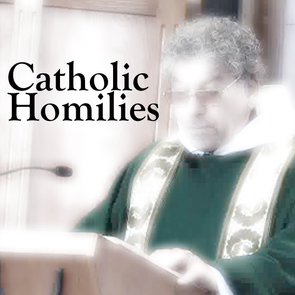 Catholic Homilies Videos with with Father Scurti