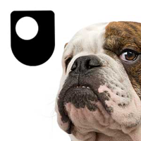 Darwin and Evolution - for iPad/Mac/PC podcast