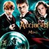 AccioCast:.mini: A short Harry Potter Podcast artwork