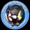 AmerikanskaNyhetsanalyser artwork