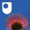 Biodiversity - for iPad/Mac/PC artwork