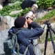 maudoc bird videos