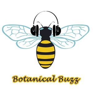 Botanical Buzz Artwork