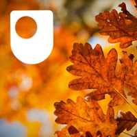 Ecosystems: the carbon cycle - for iPad/Mac/PC podcast
