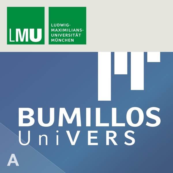 Bumillos UniVERS