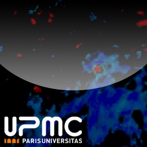 Séminaire Polytech’Paris-UPMC