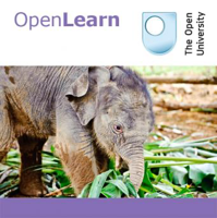 Studying mammals: plant predators - for iBooks podcast