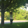 Birds In A Tree - Bridget Manley