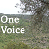 One Voice - by Dr. Larry Montgomery - One Voice