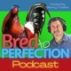 Ep192 - Bred to Perfection Live Q&A