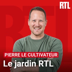 Le Jardin RTL