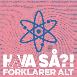 Hva så?! forklarer alt - Vi blev til mennesker...