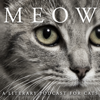 MEOW: A Literary Podcast for Cats - The Meow Library