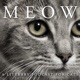 MEOW: A Literary Podcast for Cats
