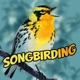 Songbirding: A Birding-by-ear Podcast