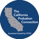 The California Probation Connection Episode 13