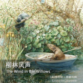 经典儿童文学《柳林风声》ᅵ睡前读物ᅵ公版书