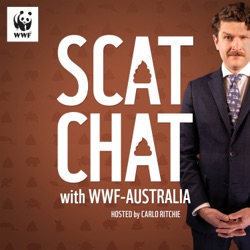 Episode 5: Setting our sights on the spectacled hare-wallaby