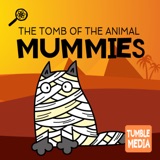 The Tomb of the Animal Mummies