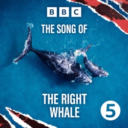 Ep 1: Right Whale, Wrong Ocean