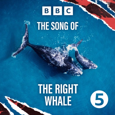 The Song of the Right Whale