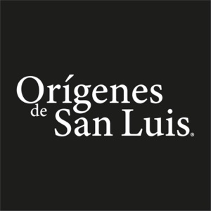 Orígenes de San Luis