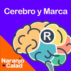 Sesgos y heurísticas en márketing político