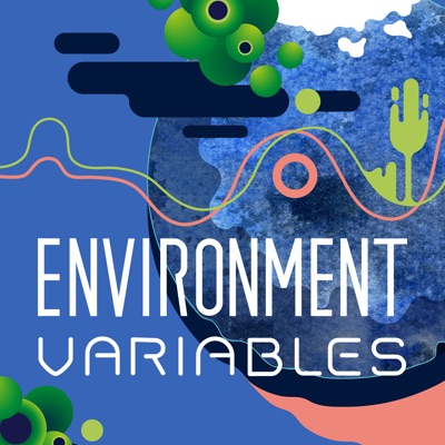 Environment Variables