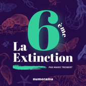La 6e extinction - Marie Treibert / Numerama