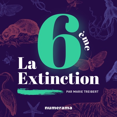 La 6e extinction:Marie Treibert / Numerama