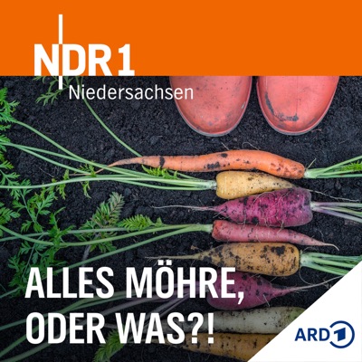 Gartenpodcast: Alles Möhre, oder was?!:NDR 1 Niedersachsen