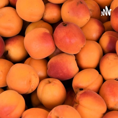 你是否曾遇见夜空中最亮的星