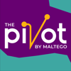The Pivot - Maltego Technologies