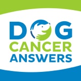 Your Dog Cancer Story | Molly Jacobson