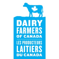 Movement and Exercise for Dairy Cows | Lactalis Canada