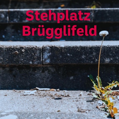 Stehplatz Brügglifeld Stehplatz Brügglifeld