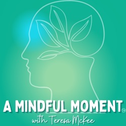 Mindful Moments with The Fit Mess Podcast Hosts