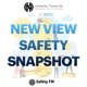 New View Safety Snapshot