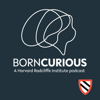 BornCurious - Harvard Radcliffe Institute