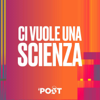 Ci vuole una scienza - Il Post