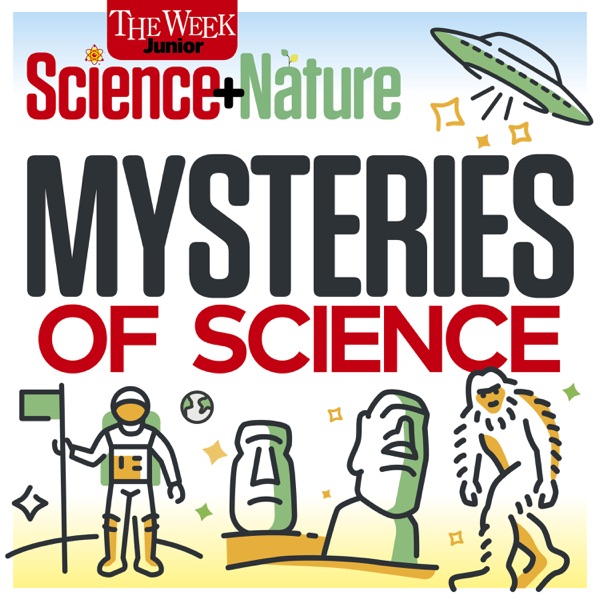 Your Mysteries: Chicken or the egg, wormholes, and more photo