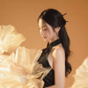 音乐治疗 ｜ 3D古筝助眠轻音乐 - 小臣古筝老师
