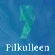 Pilkulleen