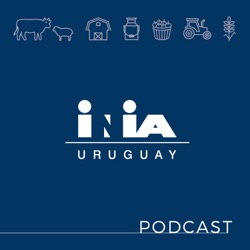 20: Aprovechando la sinergia con arroz desde la óptica de un ganadero