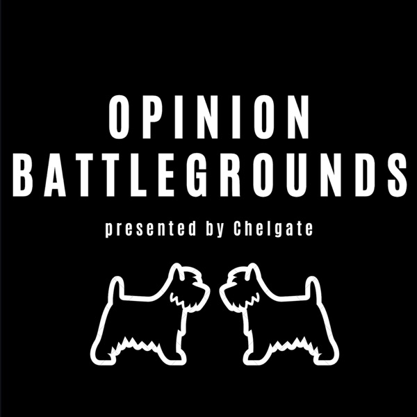 Opinion Battlegrounds