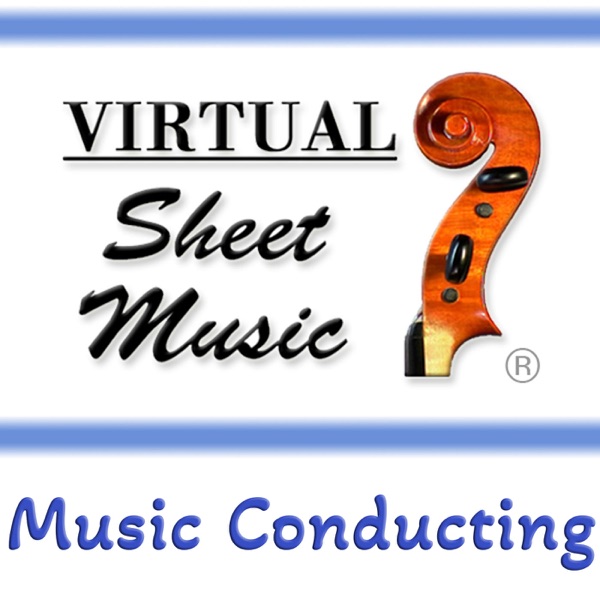 VSM: Music Conducting Lessons and Insights