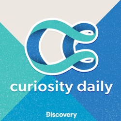 Curiosity Weekly