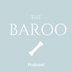 Unlocking the The Healing Power of Energy Medicine for You and Your Pets with Dr. Barry Sands