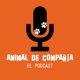 Animal de compañía