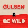 Ruud de Wild & Olcay Gulsen / Tussen Je Oren podcasts